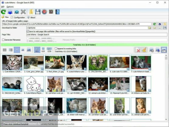 Bulk Image Downloader 2021 Direct Link Download